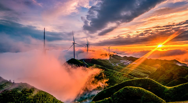 金沙玉簪花云海景区