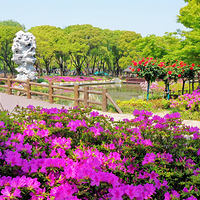 三国水浒景区(中央电视台无锡影视基地)