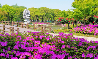 三国水浒景区(中央电视台无锡影视基地)