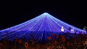 光遇汉城汉博宣首届园林灯光夜游季