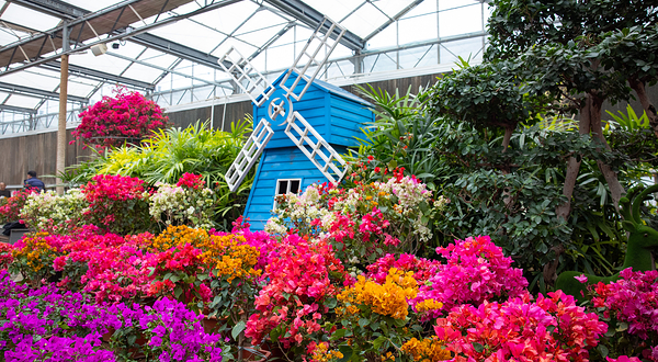 南宫五洲植物乐园