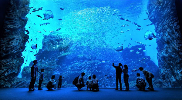 仙台海洋森林水族馆