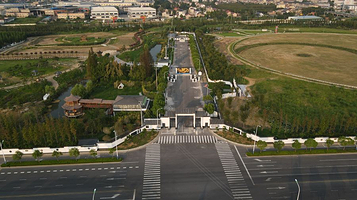 寻梦小镇之时光花海