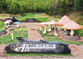 阿尔山氧心森林浴道景区