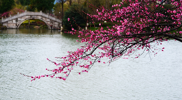 超山风景名胜区
