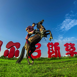鄂尔多斯草原旅游区