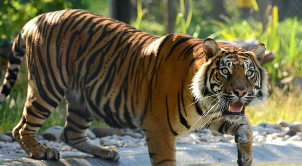 德雷顿庄园公园