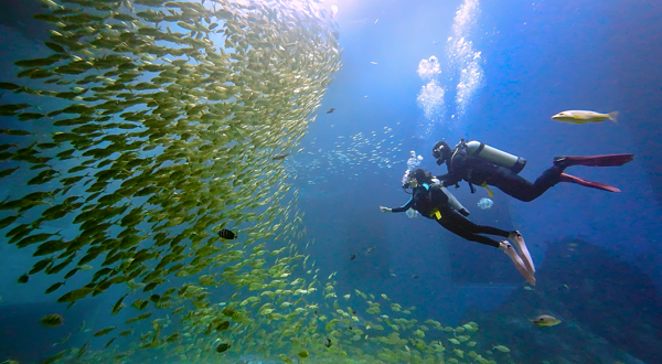 小梅沙海洋世界