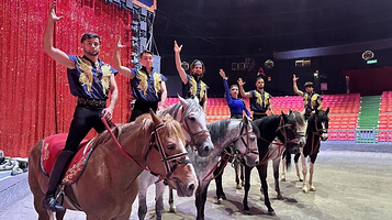 吴桥杂技艺术节马戏嘉年华