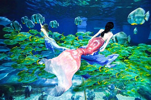 华夏文旅海洋公园