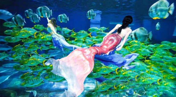 华夏文旅海洋公园