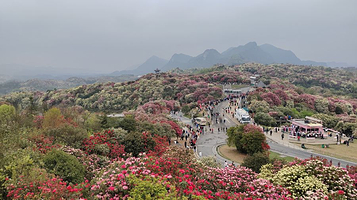 小飞通用航空(百里杜鹃直升机飞行基地)
