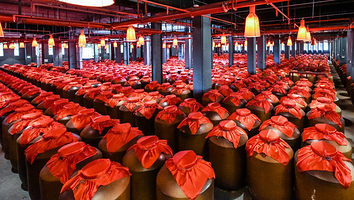 今世缘旅游景区