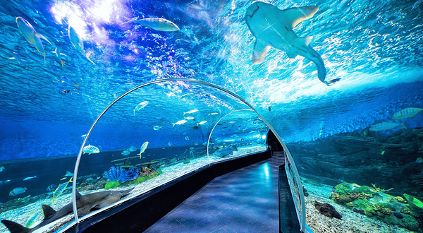 马尼拉海洋公园