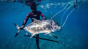 松鼠游艇帆船海钓俱乐部