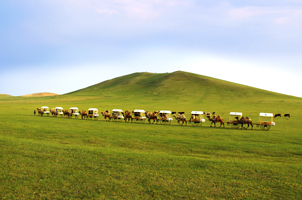 游牧记忆星座主题营地