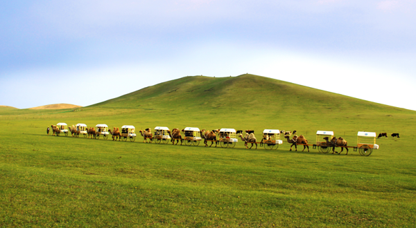 游牧记忆星座主题营地