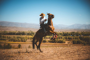 一牧场马术基地