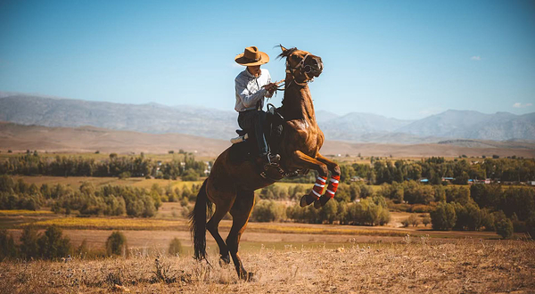 一牧场马术基地