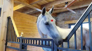 济西湿地马术俱乐部