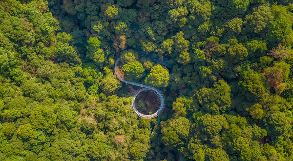 千岛湖森林氧吧