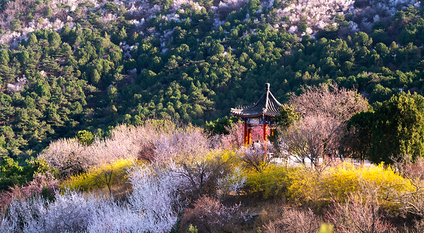 北京西山国家森林公园
