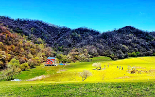 宝鸡西山牧马狩猎具乐部