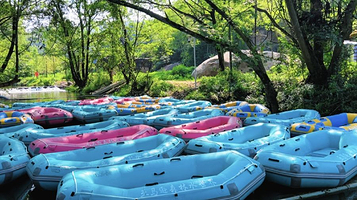 亚马逊森林水世界