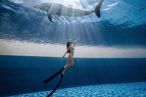 佳潜潜水水下摄影俱乐部