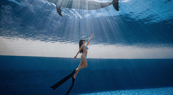 佳潜潜水水下摄影俱乐部