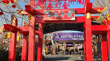 2025济南新春灯会·仙境奇缘