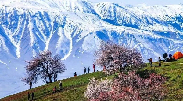那拉提杏花沟