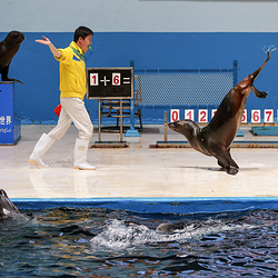 蓬莱欧乐堡海洋极地世界