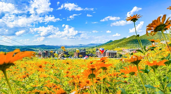 万科松花湖度假区