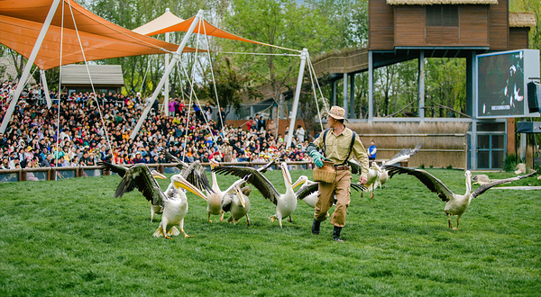 渔田七里海度假区