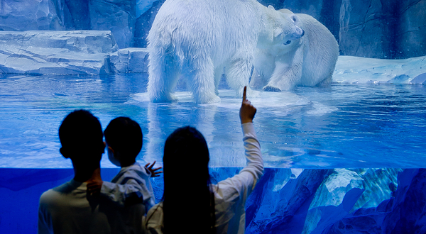 郑州海昌海洋公园