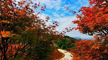 云峰山(长情谷)旅游景区