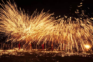 隋唐城遗址植物园