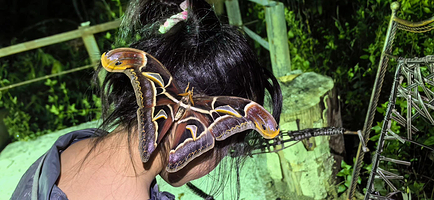 西双版纳天源虫谷