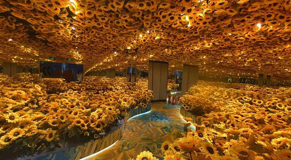 梵高星空艺术馆(贵阳旗舰店)