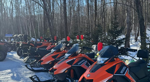 亚布力狗熊部落