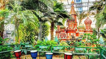 一天零一夜精灵丛林艺数馆