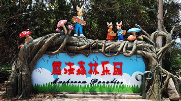 青岛一露有你房车旅居营地