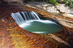 白江湖森林公园