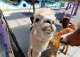 垦草趣亲子园区