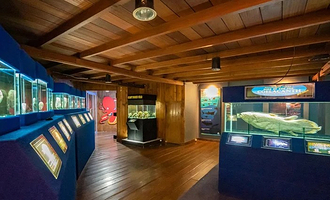 雅加达海洋世界