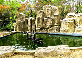 新港动物观赏园