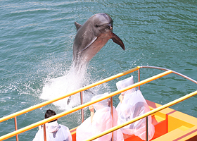 下田海中水族馆