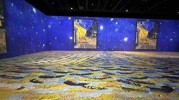 Immersive Museum TOKYO