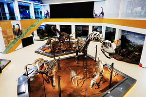 刘家峡恐龙国家地质公园